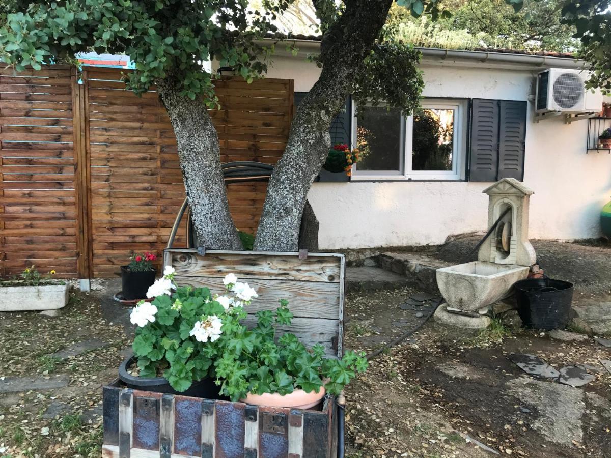 Cabana Jara Y Enebro Collado Villalba Exteriér fotografie
