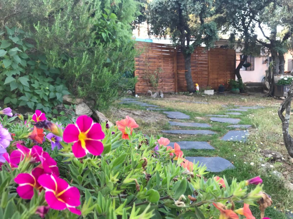 Cabana Jara Y Enebro Collado Villalba Exteriér fotografie